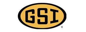 GSI